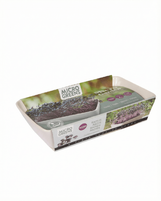 Daikon Radish Seeds Raphanus Sativus Microgreens Indoor Kit