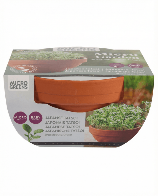 Tatsoi Seeds Brassica Narinosa Microgreens Terracotta Dish Kit