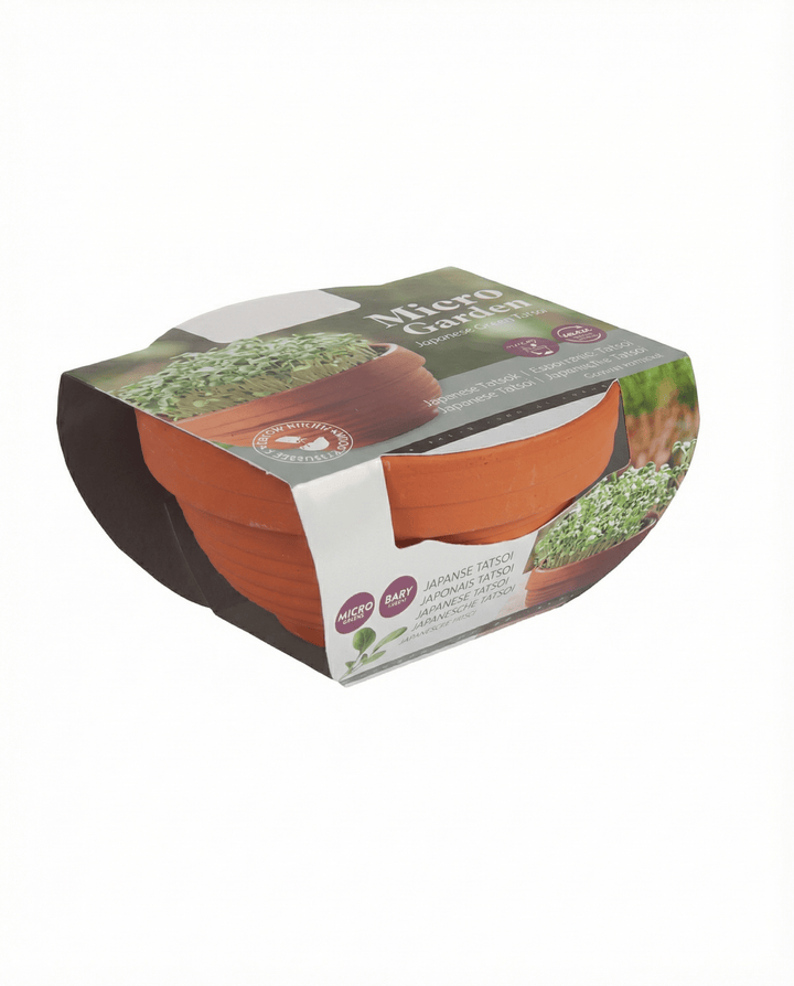 Tatsoi Seeds Brassica Narinosa Microgreens Terracotta Dish Kit