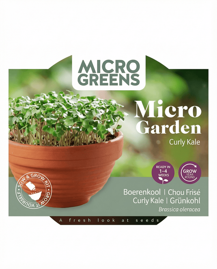 Curly Kale Seeds Brassica Oleracea Microgreens Kit Terracotta Dish