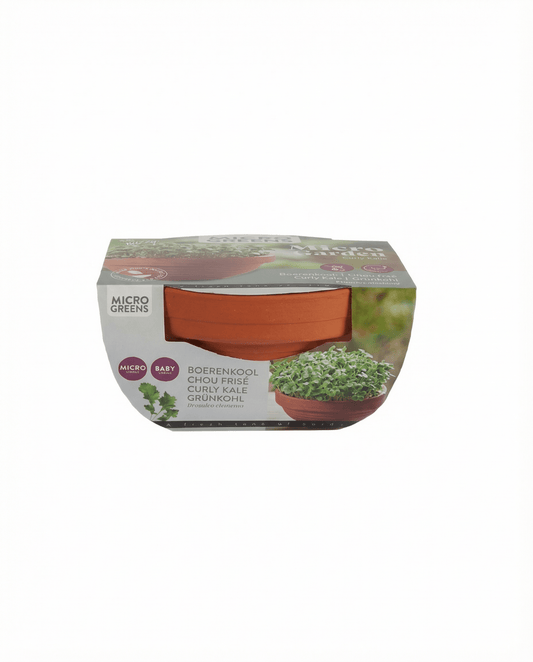 Curly Kale Seeds Brassica Oleracea Microgreens Kit Terracotta Dish