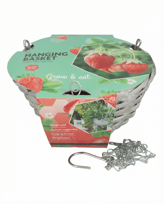 Hanging Basket Strawberry Seeds Fragaria Ananassa Temptation Variety Kit