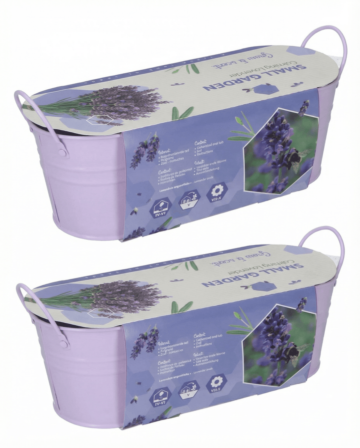 Lavender Seeds Lavandula Angustifolia Perennial Herb Kit