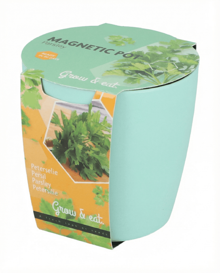Herb Seeds Assortment Ocimum Basilicum Basil Chives Parsley Grow Kit
