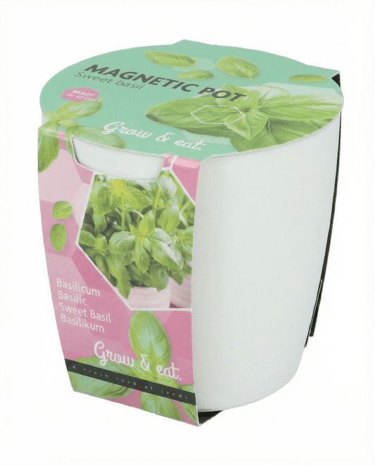 Herb Seeds Assortment Ocimum Basilicum Basil Chives Parsley Grow Kit