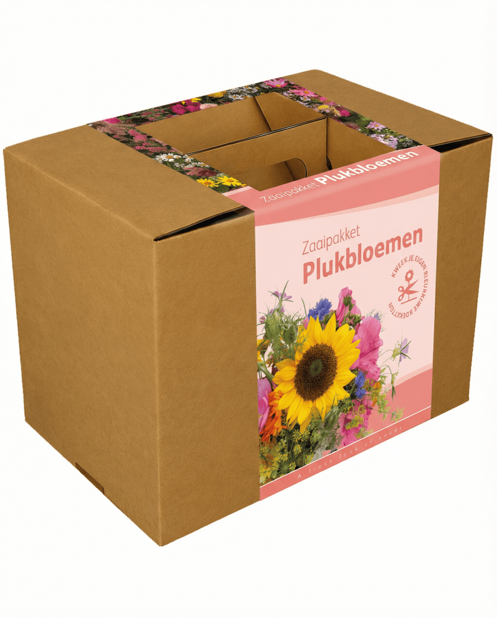 Cut Flower Seeds Bouquet Mix Annual Flowers Kit With Twine Scissors