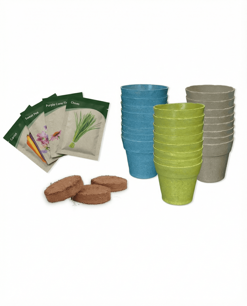 collection_image