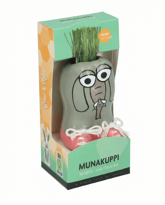 Italian Ryegrass Seeds Lolium Multiflorum Grass Kit