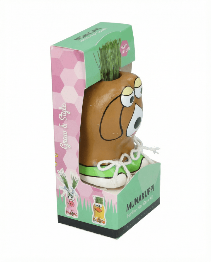 Lolium Multiflorum Seeds Lolium Multiflorum Grass Kit