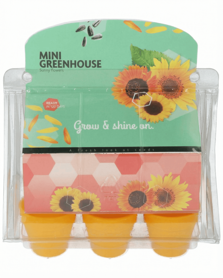 Sunflower Seeds Helianthus Annuus Mini Greenhouse Kit Pot Sunflower