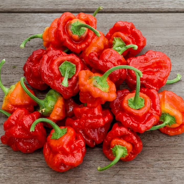 Scotch Bonnet Pepper Seeds Capsicum Chinense Annual Red