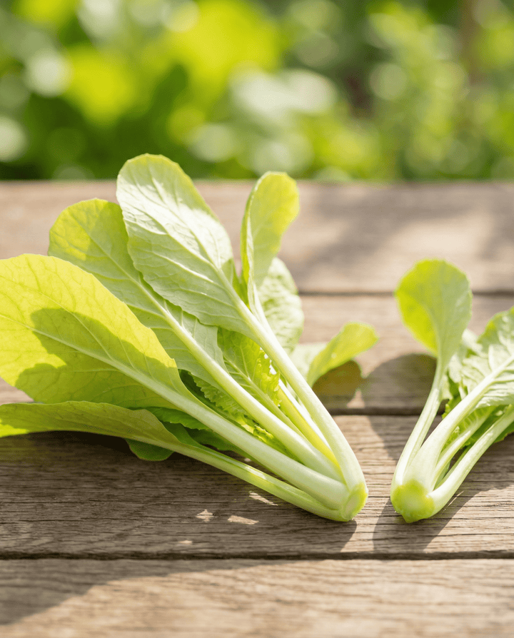Turnip Greens Seeds Brassica Pekinensis Annual Yellow Variety