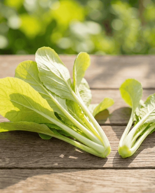 Turnip Greens Seeds Brassica Pekinensis Annual Yellow Variety