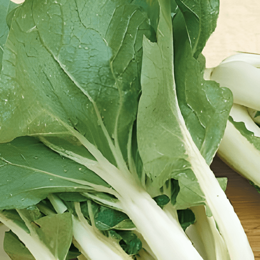 Pak Choi Seeds Brassica Chinensis Crisp Mild Flavor Vegetable