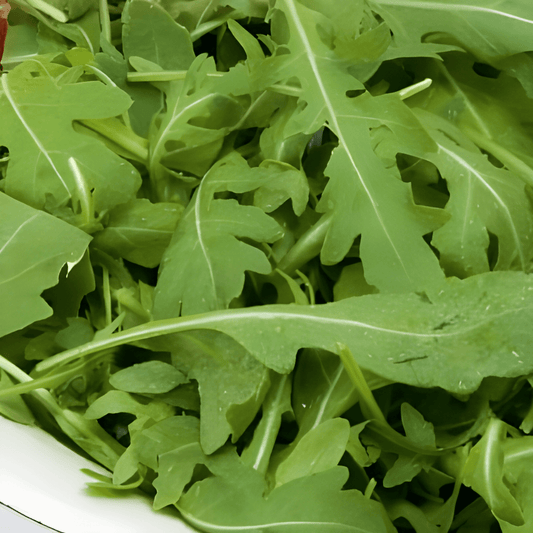 Wild Arugula Seeds Diplotaxis Tenuifolia Spicy Herb Variety