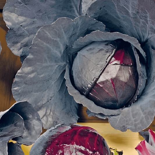 Red Cabbage Seeds Brassica Oleracea Redhead Early Deep Red Heads