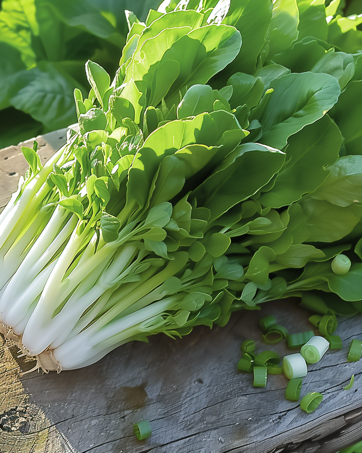 Chive White Tops Lactuca Sativa Vegetable Seeds
