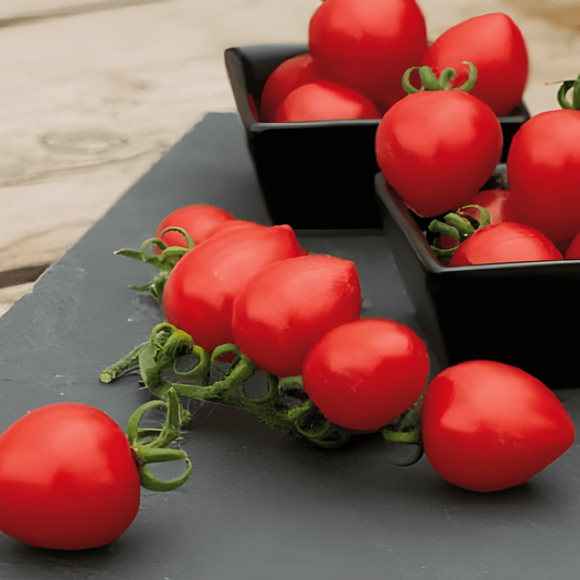 Heartbreaker Tomato Seeds Solanum Lycopersicum Compact Cherry Variety