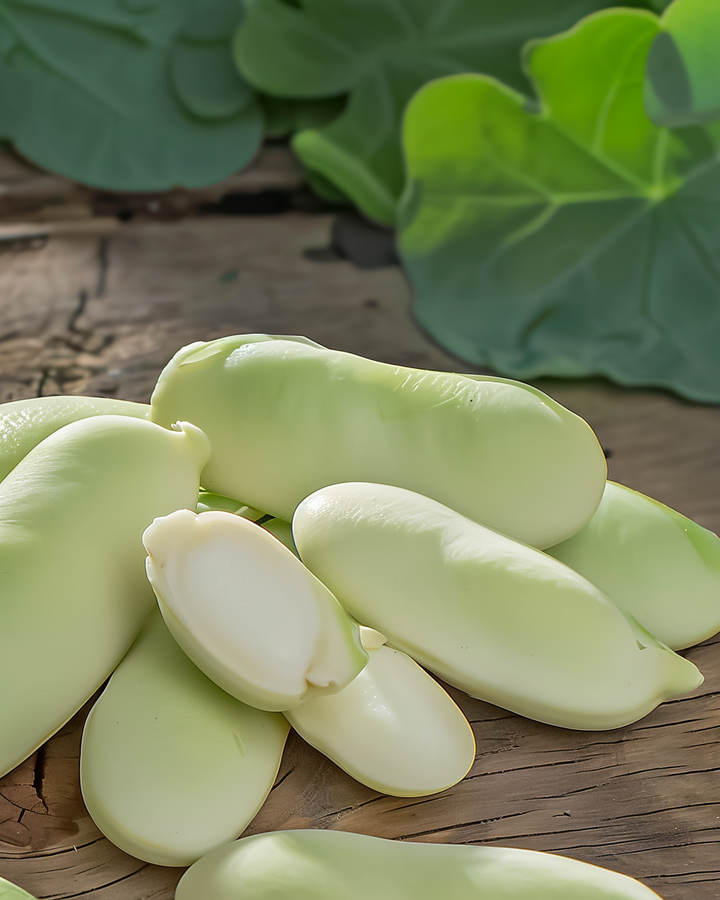 Broad Beans Triple White Seeds Vicia Faba Delicious Mild Flavor