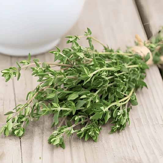 Winter Thyme Thymus Vulgaris Winter Thyme Seeds Culinary Herb