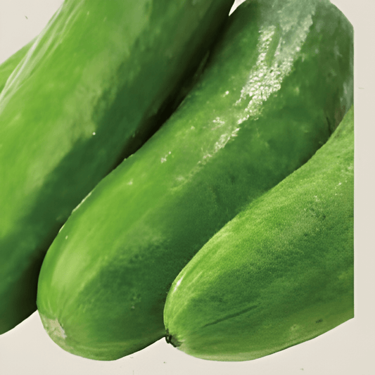 Organic Snack Cucumber Seeds Cucumis Sativus Picolino F1