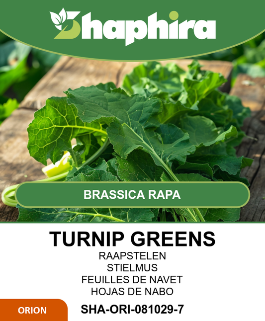 Turnip Greens Seeds Brassica Rapa Namenia 50 Grams