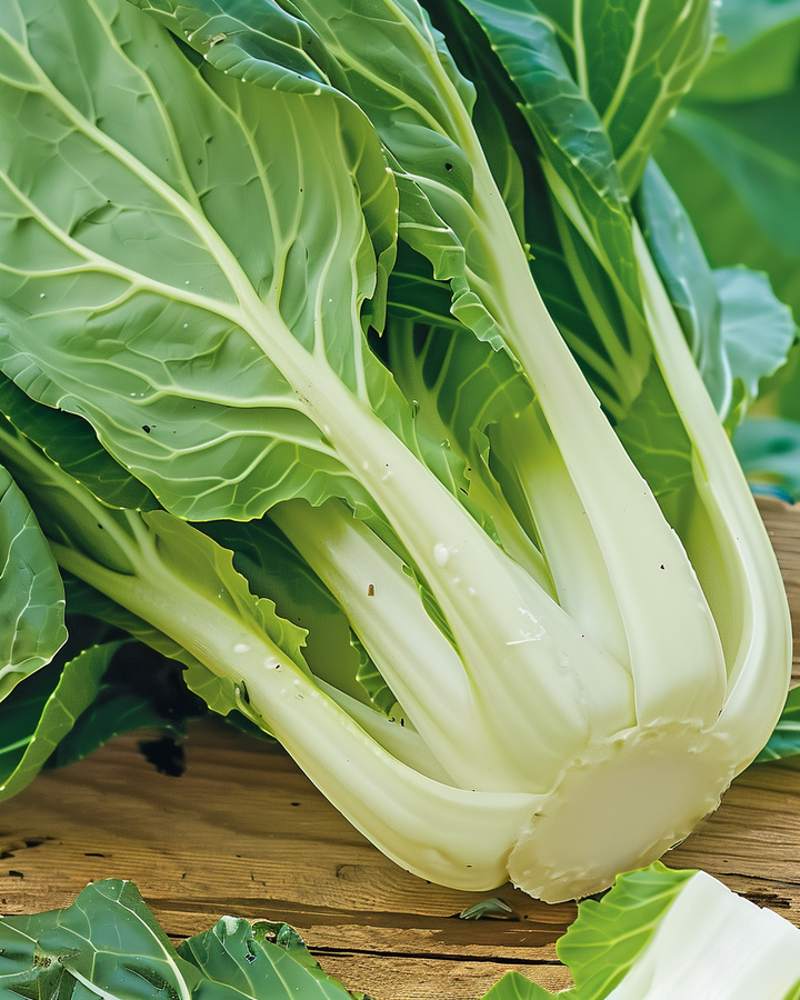 Pak Choi Seeds Brassica Chinensis Crisp Mild Flavor Vegetable