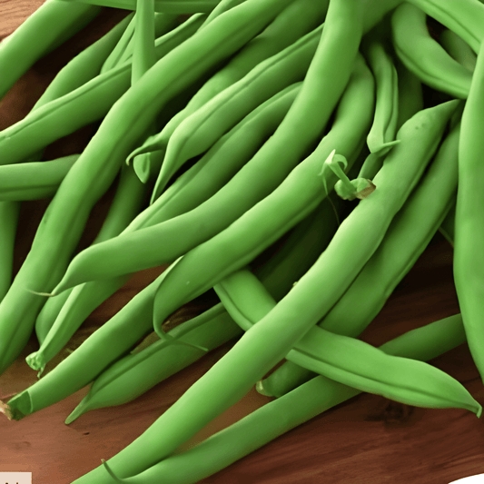 Runner Beans Soliman Seeds Phaseolus Vulgaris Productive Variety