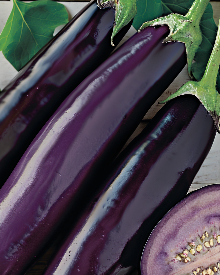 Violet Long Eggplant Solanum Melongena L. Seeds Vegetable Variety