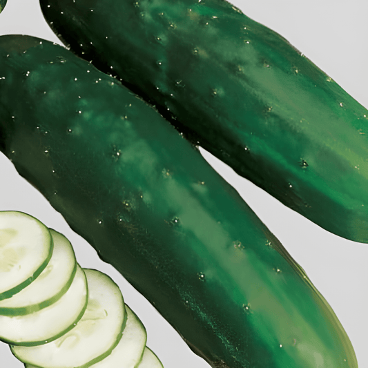 Marketmore Cucumber Seeds Cucumis Sativus L Disease Resistant