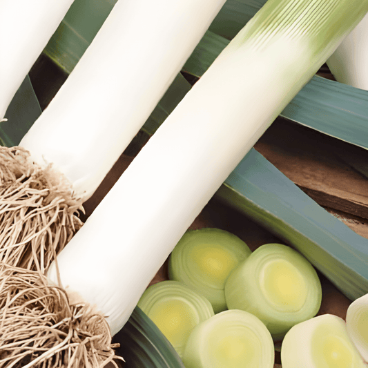 Leek Seeds Allium Porrum Blue Green Winter Farinto Variety