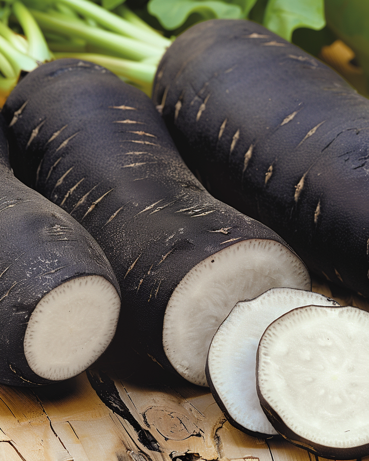 Black Long Radish Seeds Raphanus Sativus Subsp. Niger