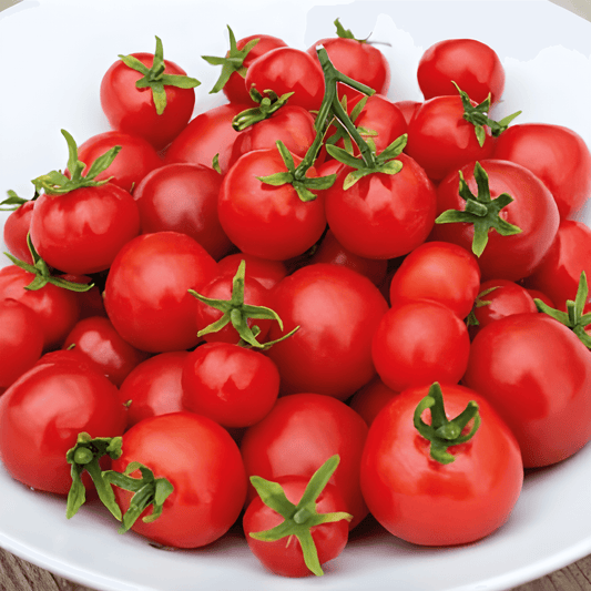 Cherry Tomato Tiny Tim Seeds Solanum Lycopersicum Sweet Variety