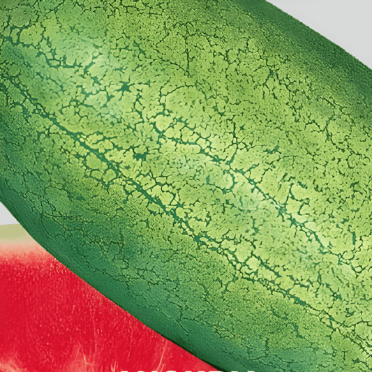 Charleston Gray Watermelon Seeds Citrullus Lanatus Early Cylindrical Fruits