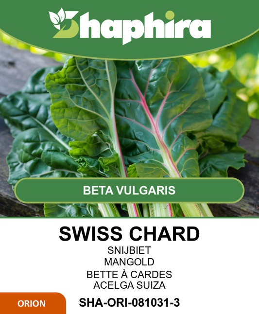 Swiss Chard Seeds Beta Vulgaris Common Green 50 Grams