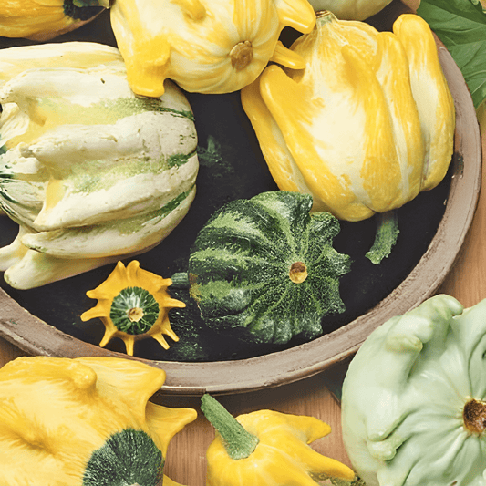 Crown Of Thorns Gourd Seeds Cucurbita Pepo Ornamental Fruits