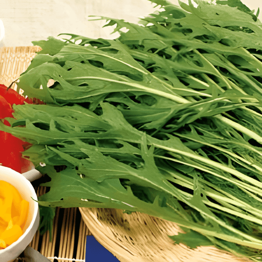 Mizuna Seeds Brassica Rapa Subsp. Nipposinica Spicy Salad Greens