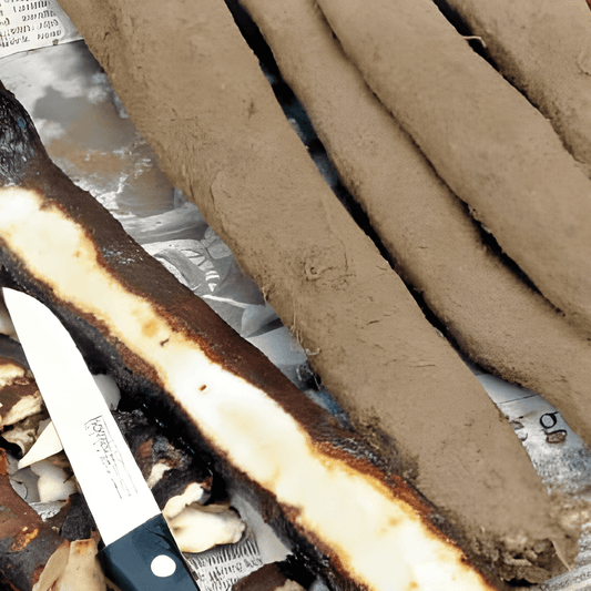 Salsify Seeds Scorzonera Hispanica Vegetable Root Crop Seeds