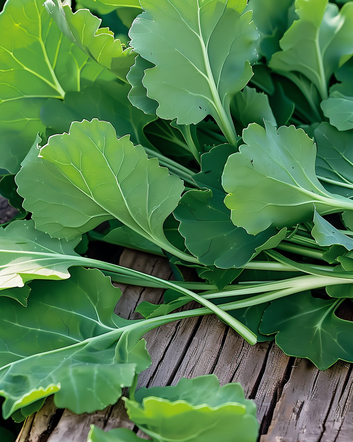 Rapeseed Greens Seeds Brassica Rapa Early Harvest Vegetable
