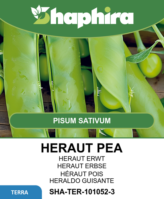 Heraut Peas Seeds Pisum Sativum Early Sweet Tender Pods