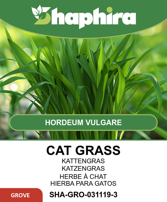 Cat Grass Seeds Hordeum Vulgare Winter Barley For Cats