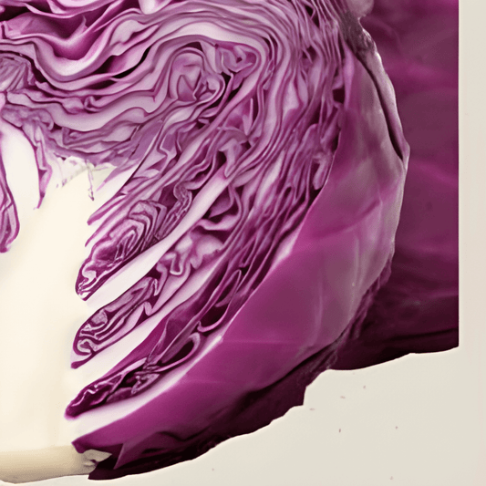 Organic Red Cabbage Seeds Brassica Oleracea Klimaro F1 Storage