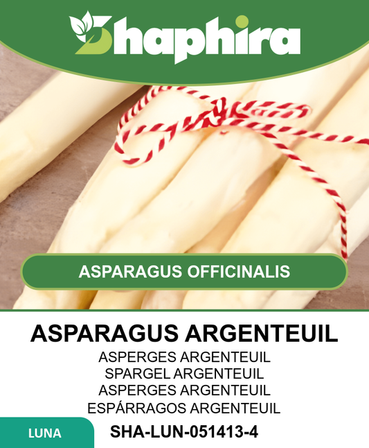 Asparagus Argenteuil Seeds Asparagus Officinalis Vegetable Seeds