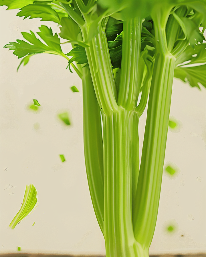 Organic Celery Seeds Apium Graveolens Tall Utah 52 70 Variety