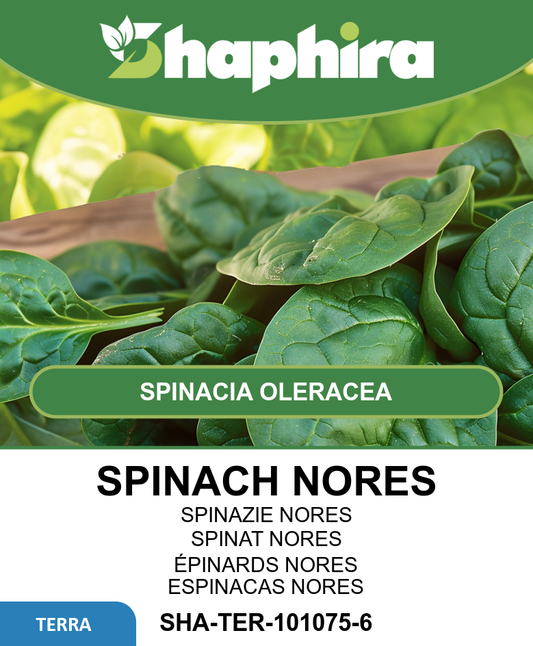 Spinach Seeds Nores Spinacia Oleracea Viking Type 250g
