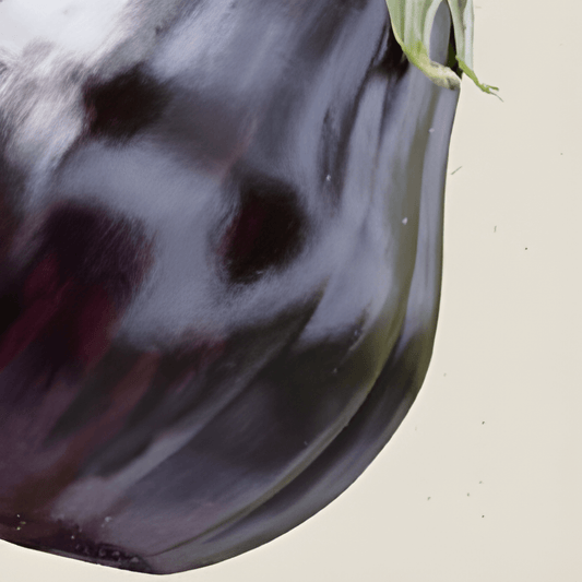 Organic Eggplant Seeds Black Beauty Solanum Melongena Purple Variety