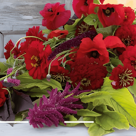 Vintage Red Red Summer Flower Seeds Annual Colorful Mix