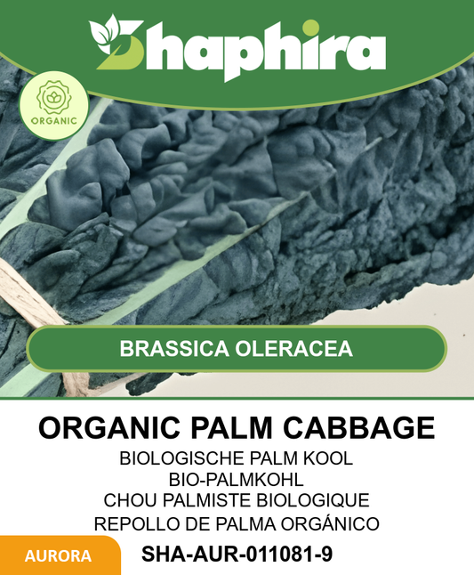 Organic Palm Cabbage Brassica Oleracea Seeds Nero Di Toscana