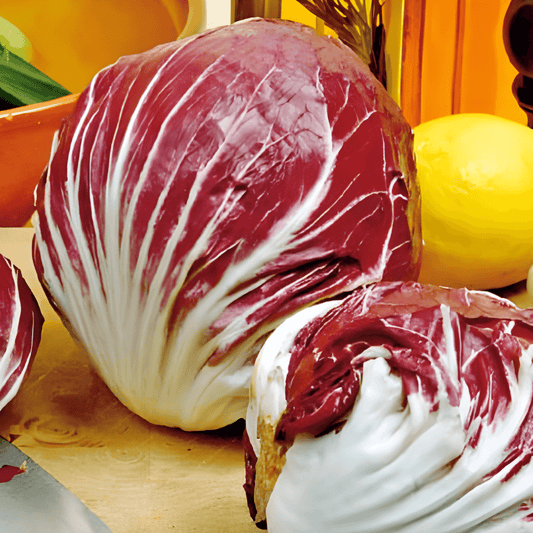 Rossa Di Chioggia Radicchio Seeds Cichorium Intybus Vegetable Variety