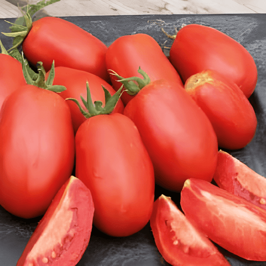 Roma Tomato Seeds Solanum Lycopersicum Firm Flesh Salad Use